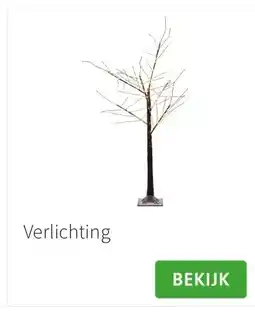 Intratuin Verlichting aanbieding