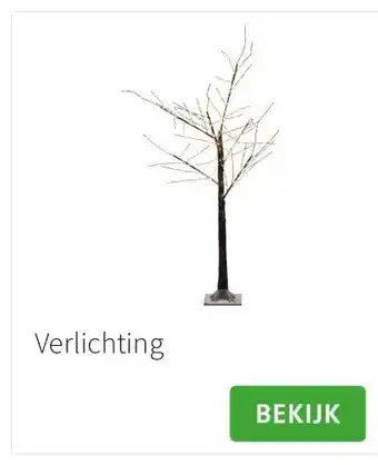 Intratuin Verlichting aanbieding