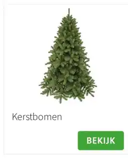 Intratuin Kerstbomen aanbieding