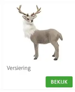 Intratuin Versiering aanbieding
