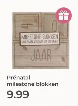 Prenatal Prénatal milestone blokken aanbieding