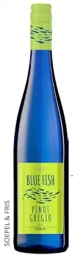 Mitra Blue fish aanbieding