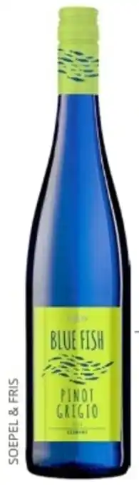 Mitra Blue fish aanbieding