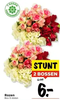 Vomar Voordeelmarkt Rozen aanbieding