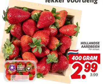 Dekamarkt Hollandse Aardbeien aanbieding