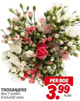 Dekamarkt Trosanjers aanbieding