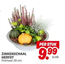 Dekamarkt Zinkenschaal herfst aanbieding