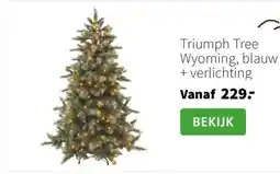Intratuin Triumph Tree Wyoming, blauw + verlichting aanbieding