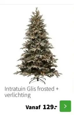 Intratuin Intratuin Glis frosted + verlichting aanbieding