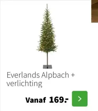 Intratuin Everlands Alpbach + verlichting aanbieding