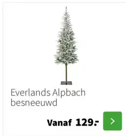 Intratuin Everlands Alpbach besneeuwd aanbieding