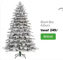 Intratuin Black Box Asbury aanbieding