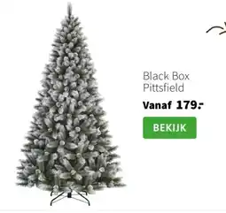 Intratuin Black Box aanbieding