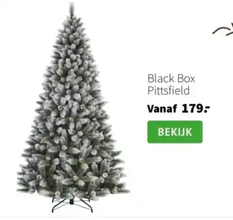 Intratuin Black Box aanbieding