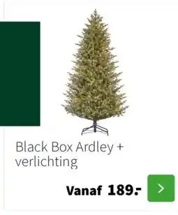 Intratuin Black Box Ardley + verlichting aanbieding