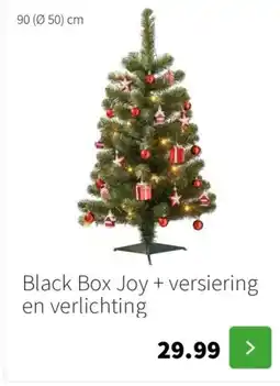 Intratuin Black Box Joy + versiering en verlichting aanbieding