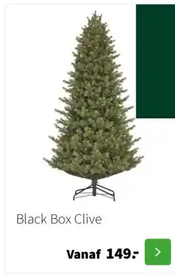 Intratuin Black Box Clive aanbieding