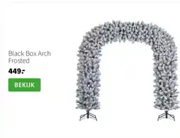 Intratuin Black Box Arch aanbieding