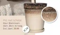 Coppelmans Pot met schotel aanbieding