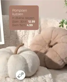 Coppelmans Pompoen kussen aanbieding