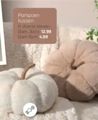 Coppelmans Pompoen kussen aanbieding