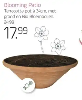 Coppelmans Blooming Patio aanbieding