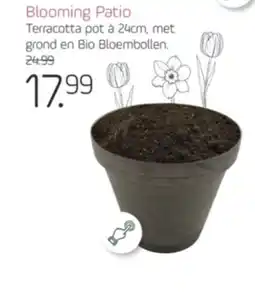 Coppelmans Blooming Patio aanbieding