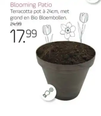 Coppelmans Blooming Patio aanbieding