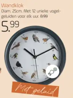 Coppelmans Wandklok aanbieding