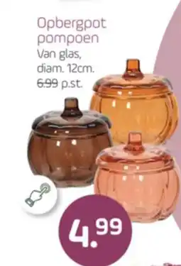 Coppelmans Opbergpot pompoen aanbieding