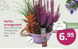 Coppelmans Herfst arrangement aanbieding