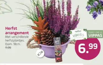 Coppelmans Herfst arrangement aanbieding