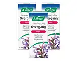 De Online Drogist A.Vogel Famosan Salvia Overgang Sterk** Tabletten Multiverpakking aanbieding