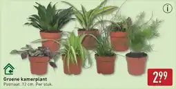 ALDI Groene kamerplant aanbieding