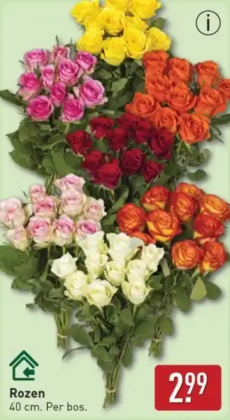 ALDI Rozen aanbieding