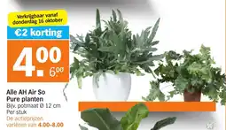 Albert Heijn Alle AH Air So Pure planten aanbieding