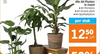 Albert Heijn Alle AH Planten in mand aanbieding