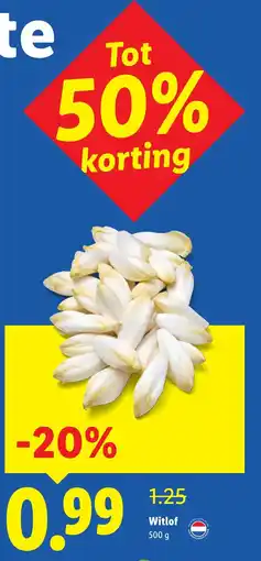 Lidl Witlof aanbieding