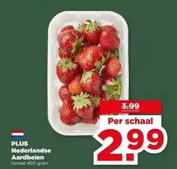 PLUS PLUS Nederlandse Aardbeien aanbieding