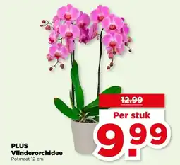 PLUS PLUS Vlinderorchidee aanbieding