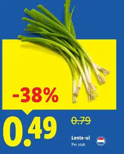Lidl Lente-ui aanbieding