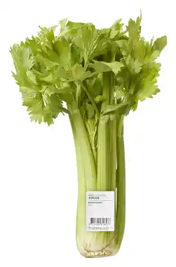 PLUS Biologisch PLUS Bleekselderij aanbieding