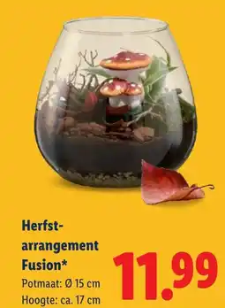 Lidl Herfst arrangement Fusion aanbieding