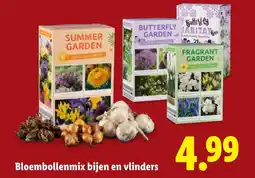 Lidl Bloembollenmix bijen en vlinders aanbieding