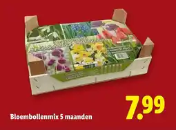 Lidl Bloembollenmix 5 maanden aanbieding