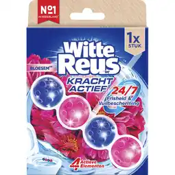 Albert Heijn Witte Reus Kracht actief bloesem aanbieding