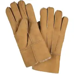 Albert Heijn Greyhound Handschoenen bruin maat l aanbieding