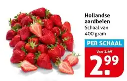 Hoogvliet Hollandse aardbeien aanbieding