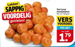 Hoogvliet San Lucar mandarijnen aanbieding