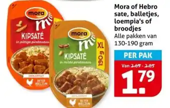 Hoogvliet Mora of Hebro sate, balletjes, loempia's of broodjes aanbieding